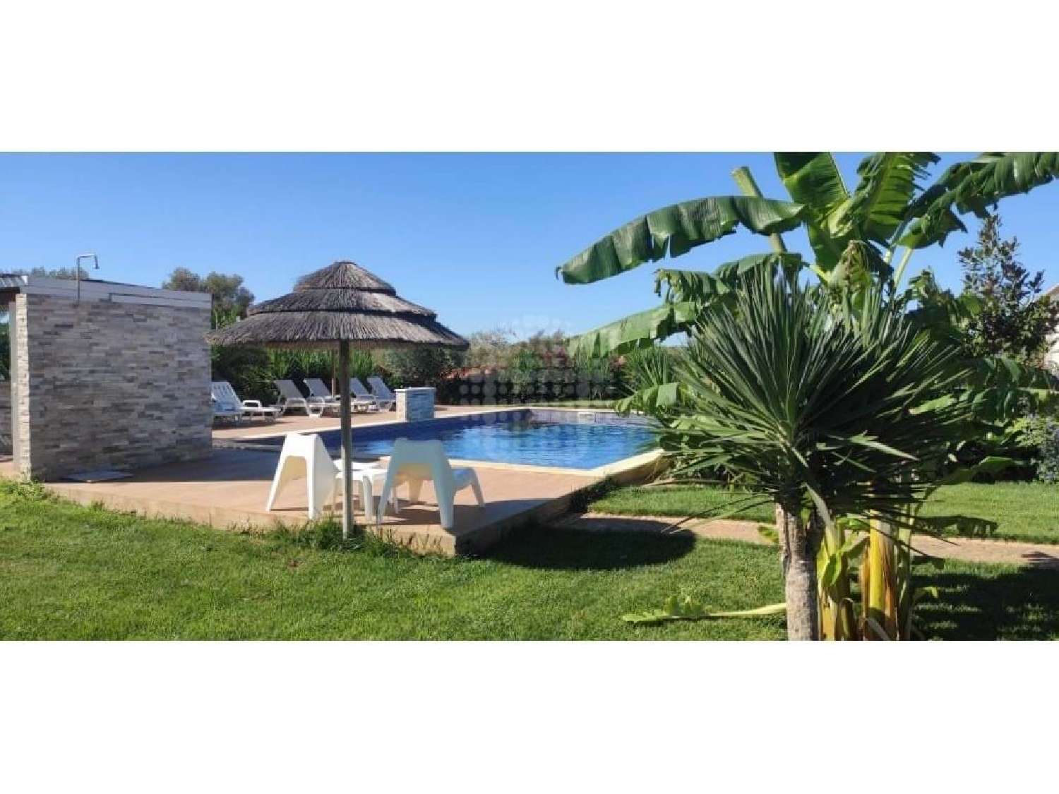  à venda vila Silves Silves 1