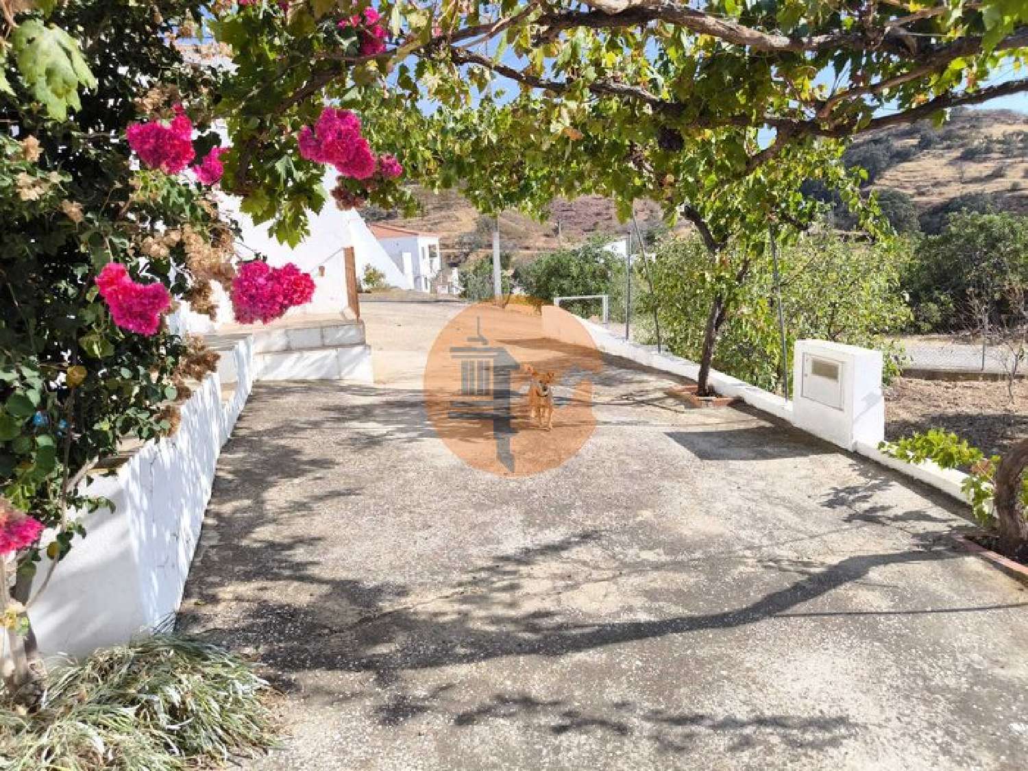  à venda vila Vaqueiros Alcoutim 1