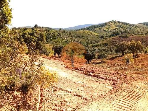 Fonte Albufeira terrain foto