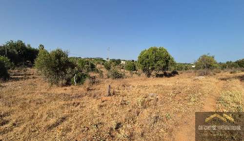 Faro Esposende casa foto