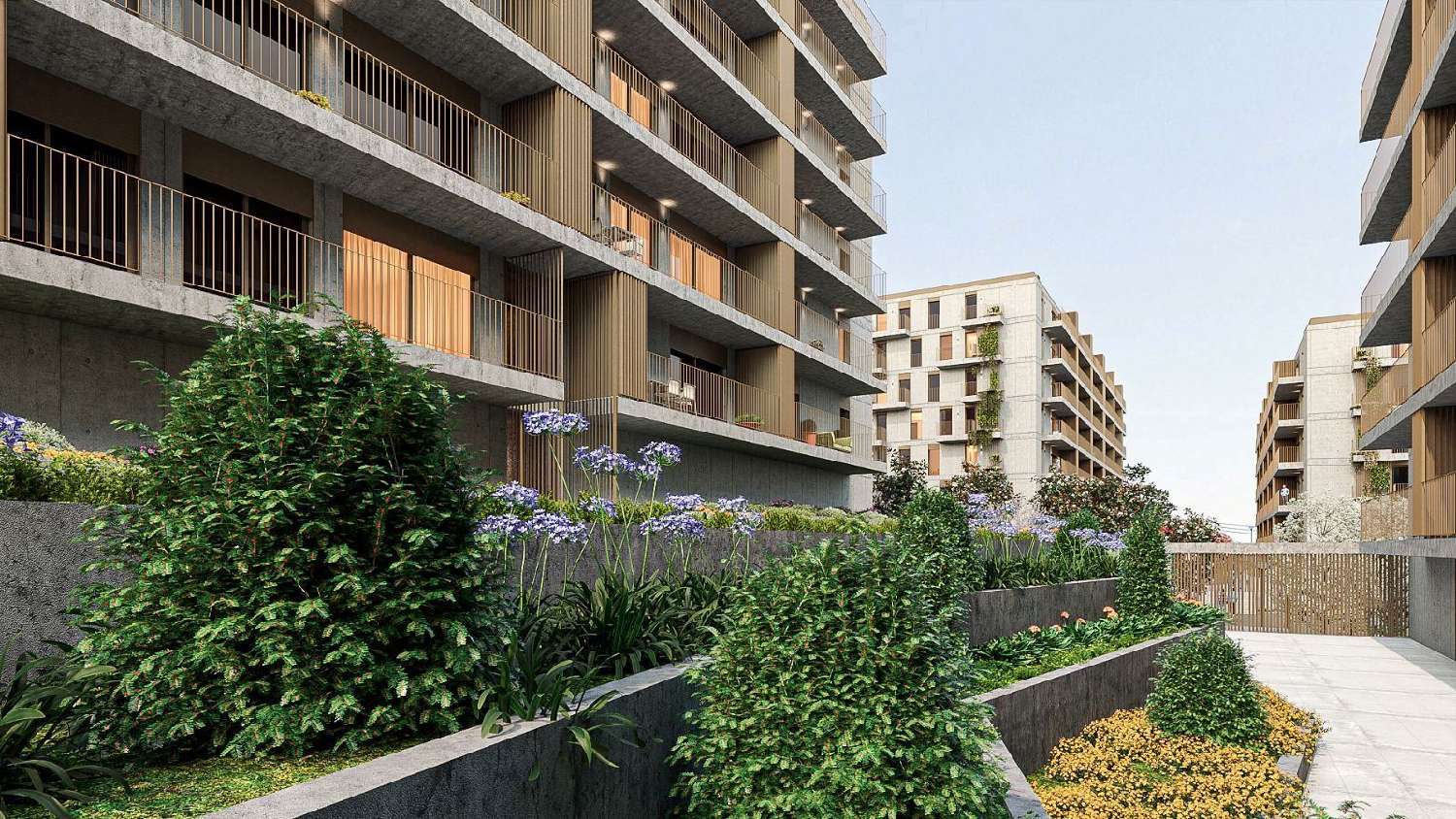  for sale apartment Oliveira do Douro Cinfães 2
