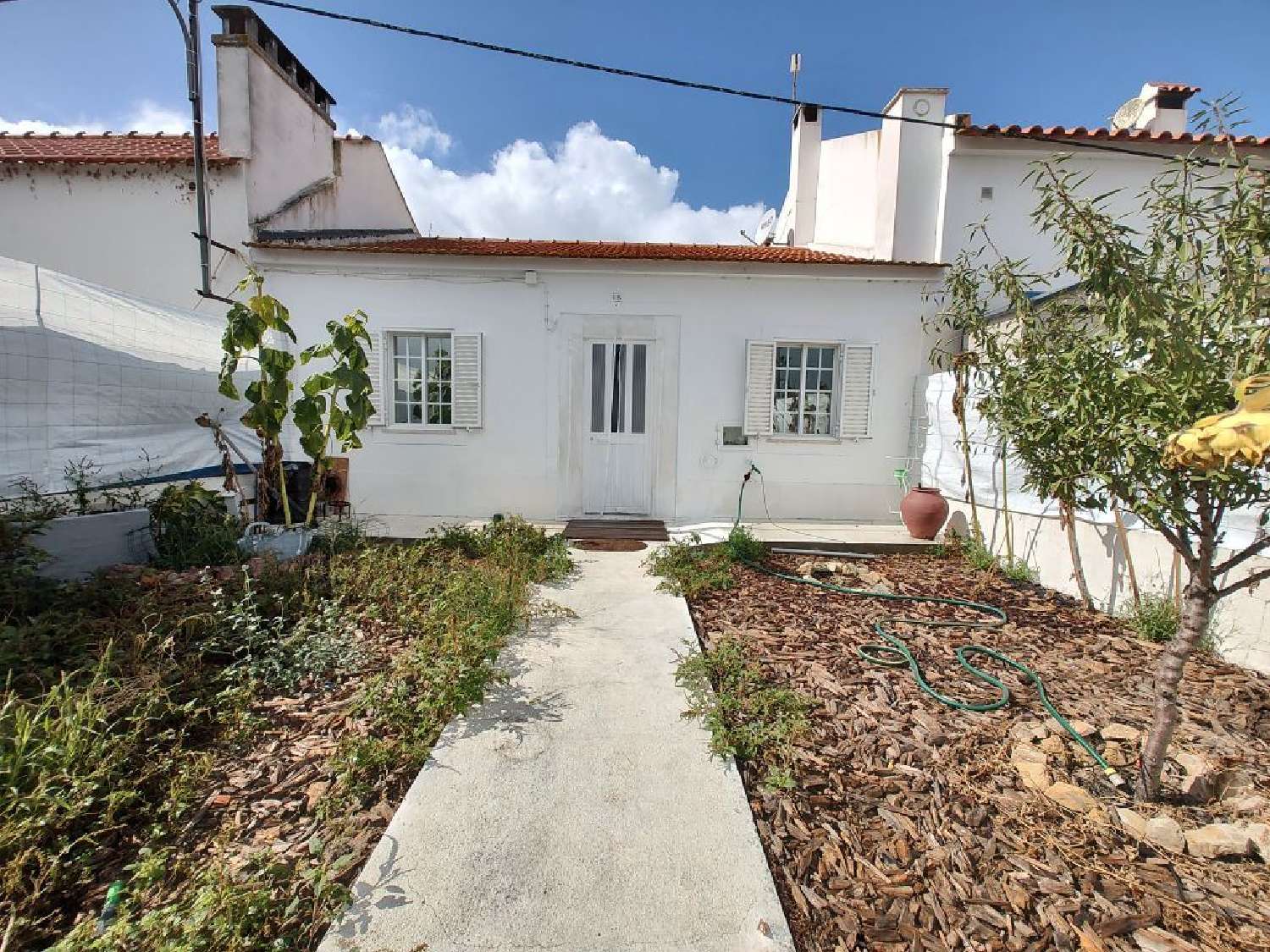  à venda casa Santa Susana Alcácer Do Sal 1