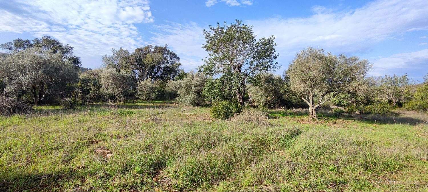  à venda terreno Loulé Loulé 1