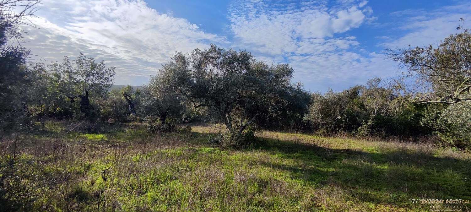  à venda terreno Loulé Loulé 2