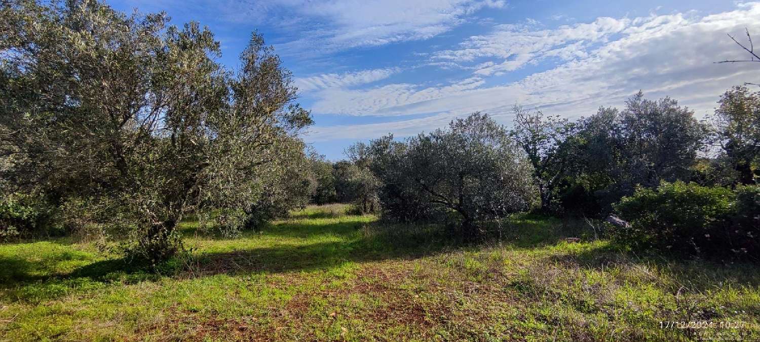  à venda terreno Loulé Loulé 3