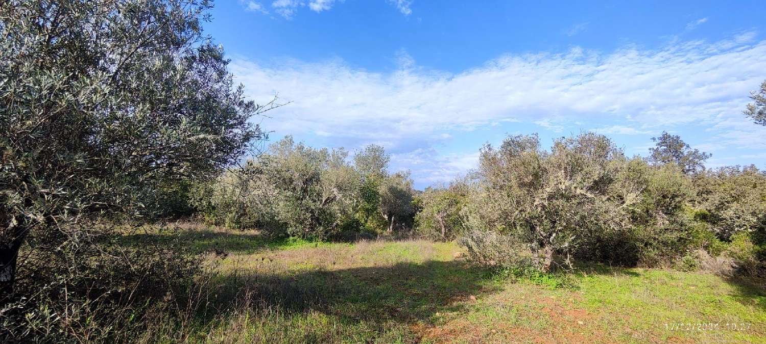  à venda terreno Loulé Loulé 4