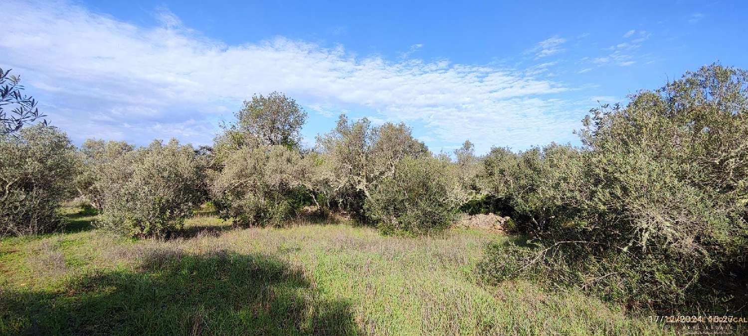  à venda terreno Loulé Loulé 5