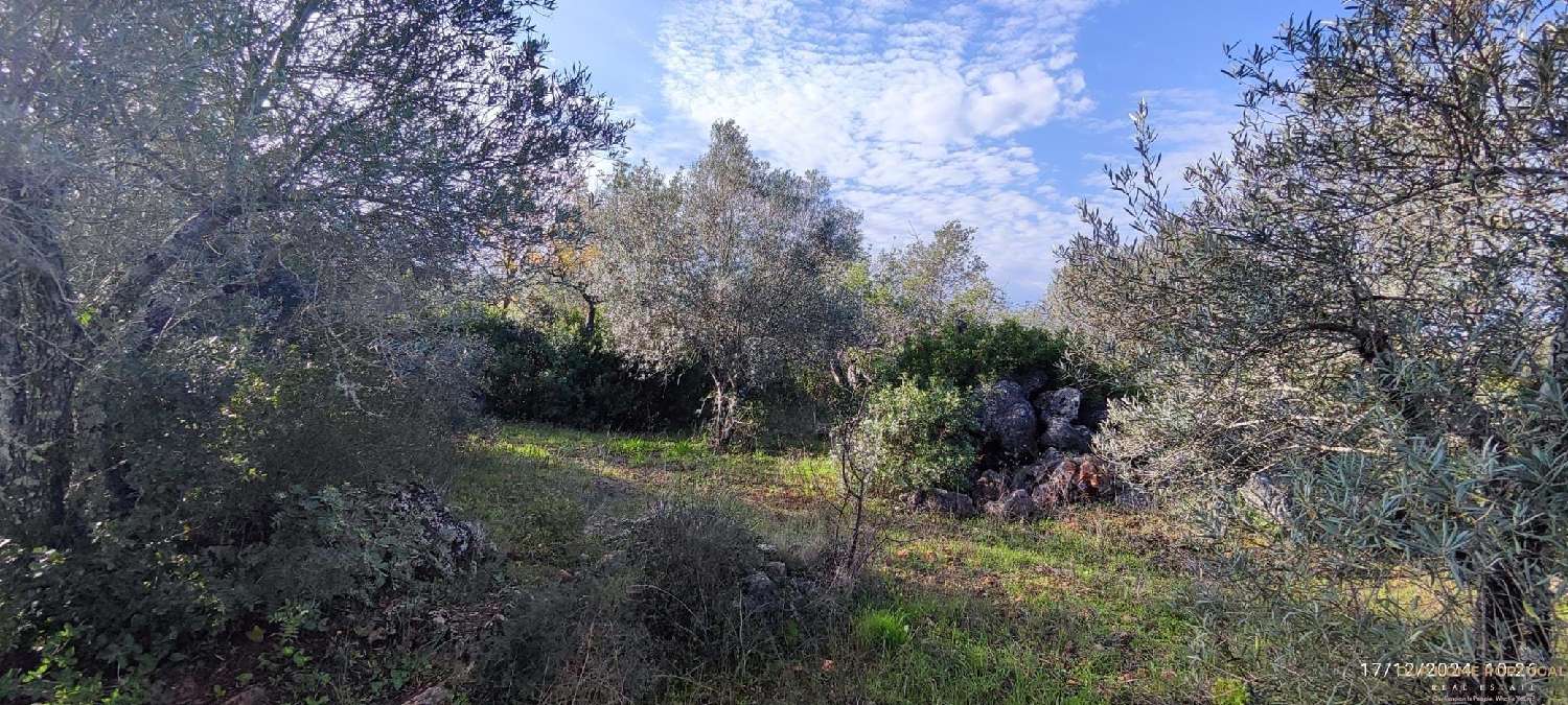  à venda terreno Loulé Loulé 6