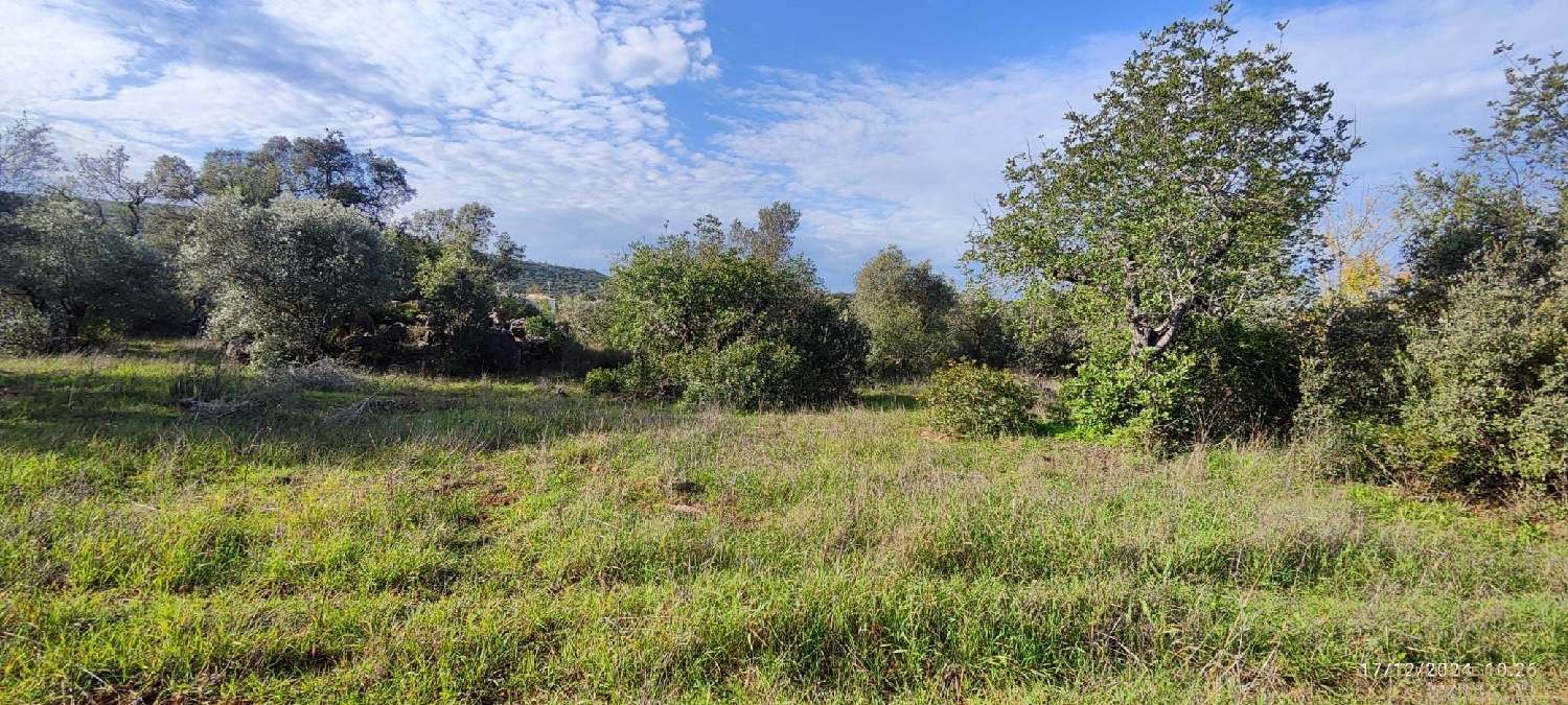  à venda terreno Loulé Loulé 8