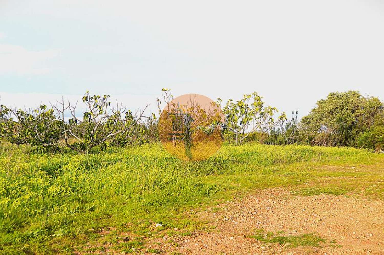  à venda terreno Tavira Tavira 4