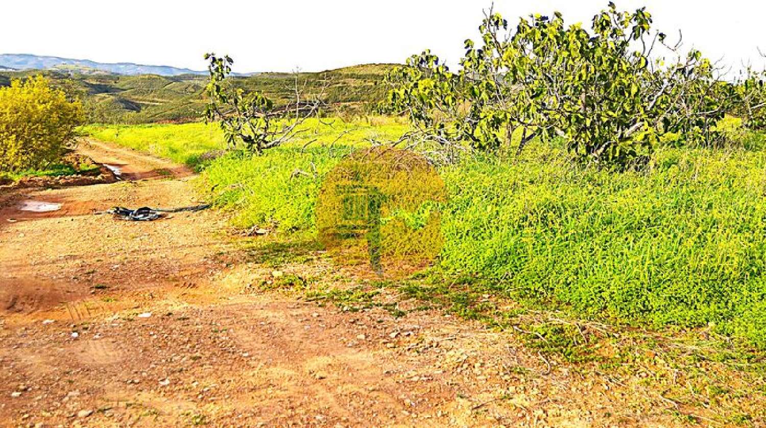  à venda terreno Tavira Tavira 5