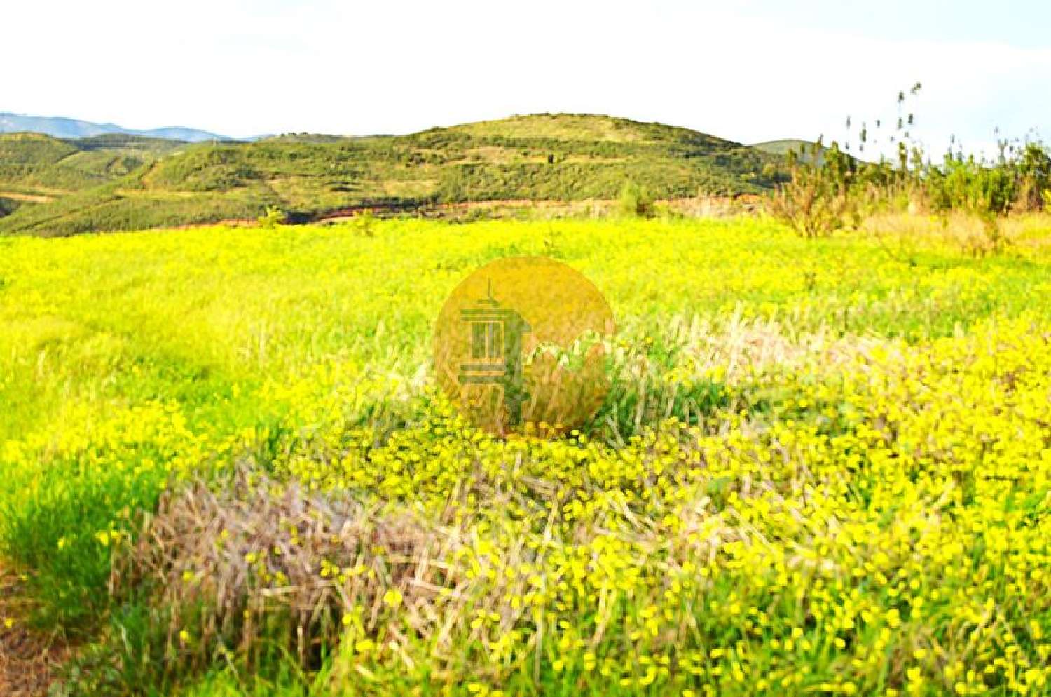  à venda terreno Tavira Tavira 6
