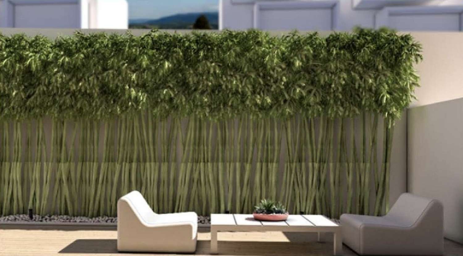  à venda apartamento Braga Braga 4