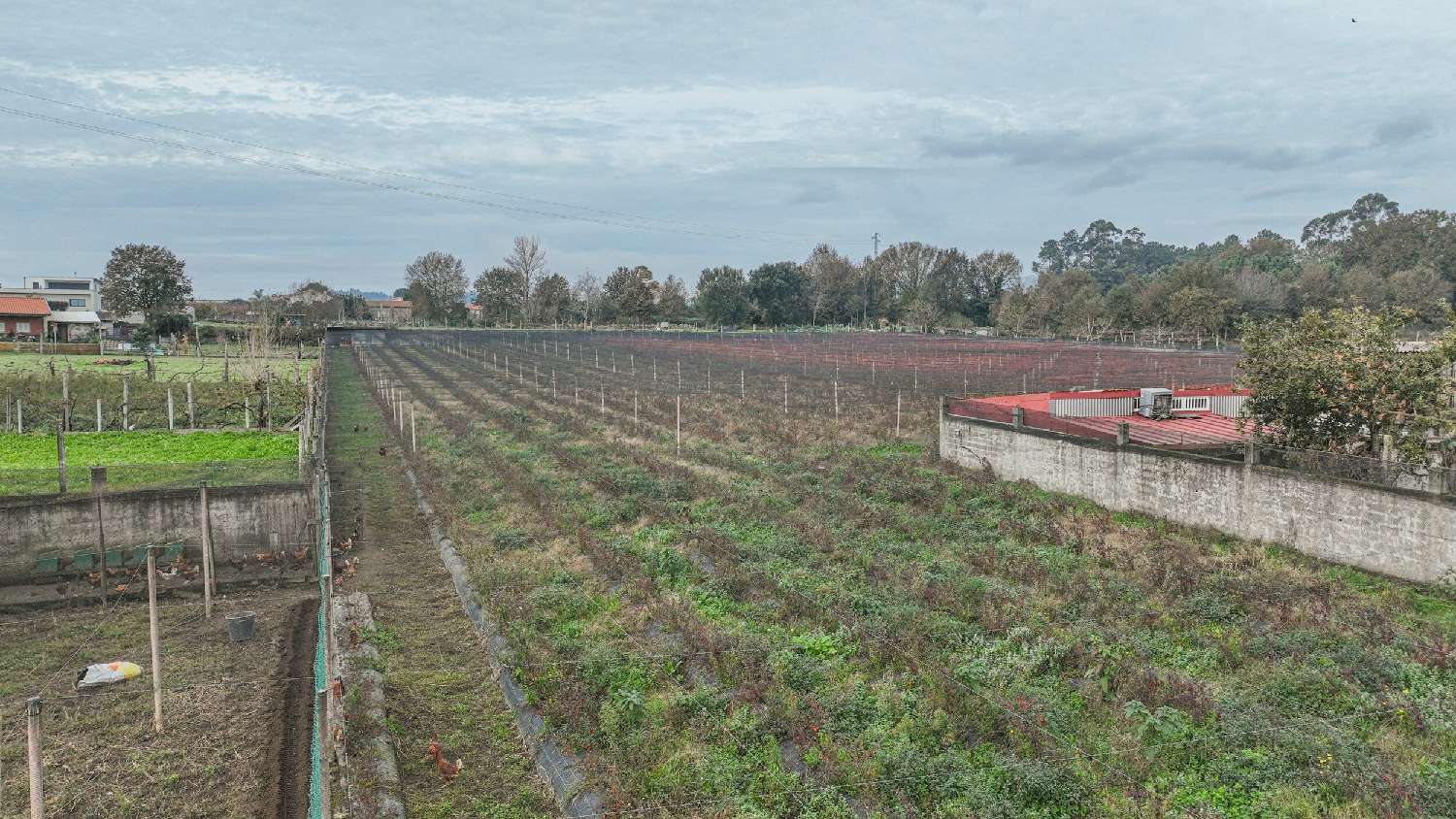  à venda quinta Arca Vila Verde 6
