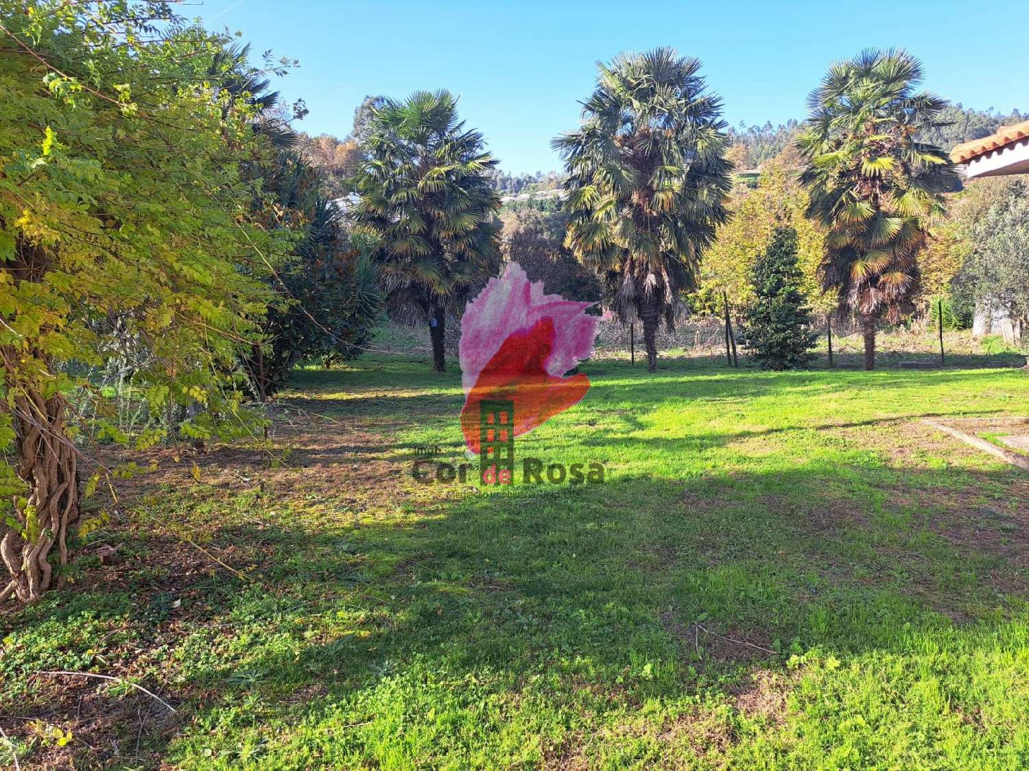  te koop huis São Martinho Amarante 2