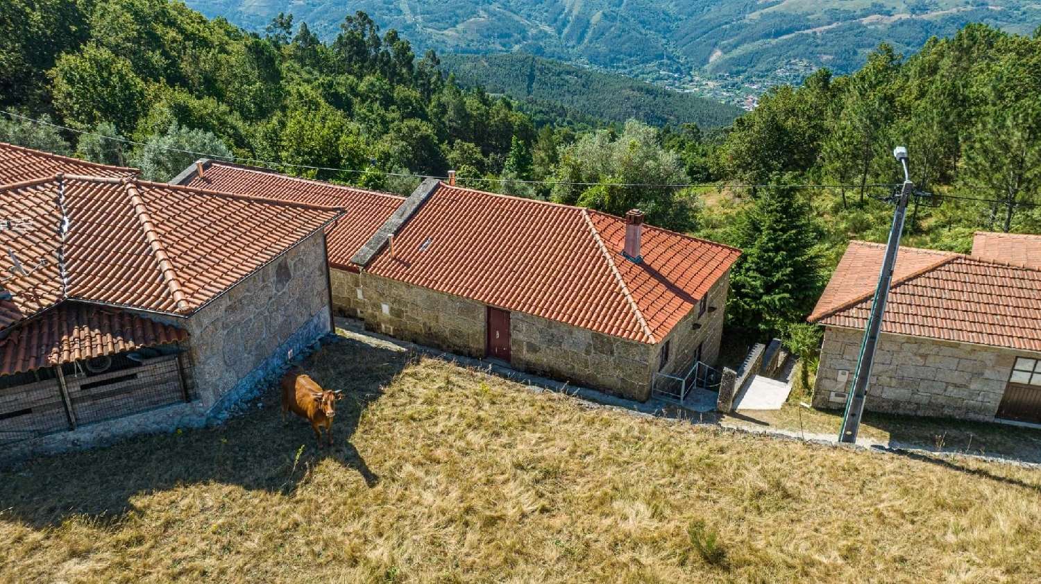  à venda casa Vilarinho Terras De Bouro 5