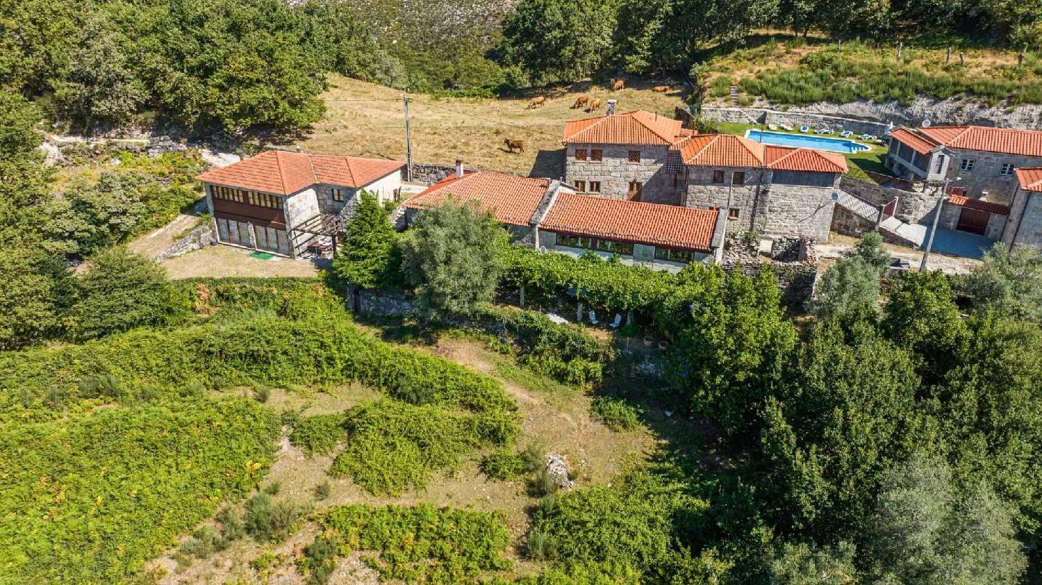  à venda casa Vilarinho Terras De Bouro 8