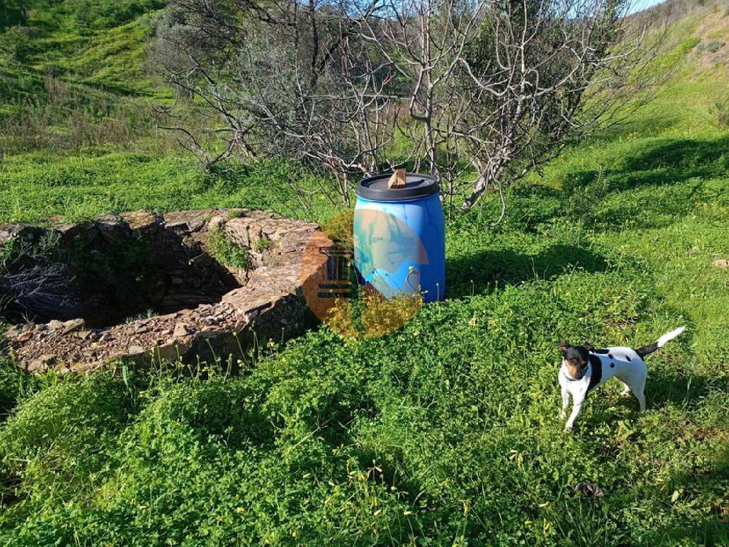  te koop terrein Azinhal Albufeira 1