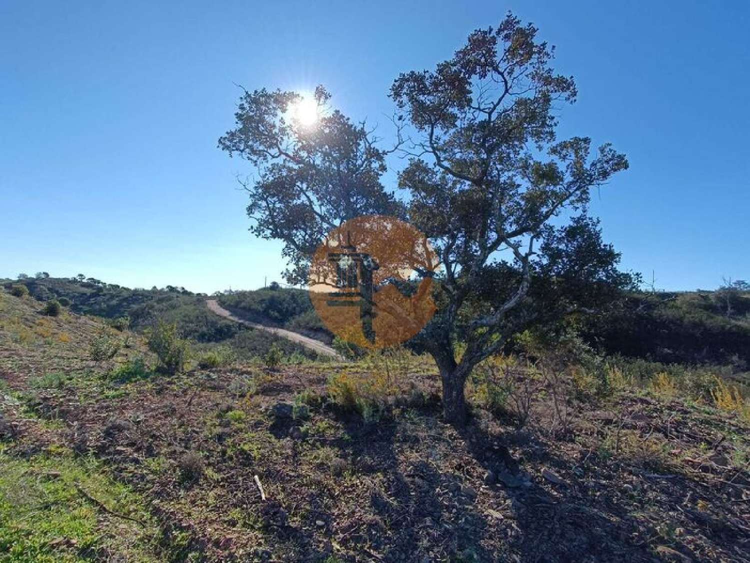  te koop terrein Azinhal Albufeira 3