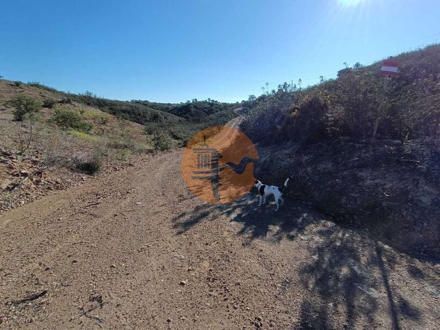  te koop terrein Azinhal Albufeira 7