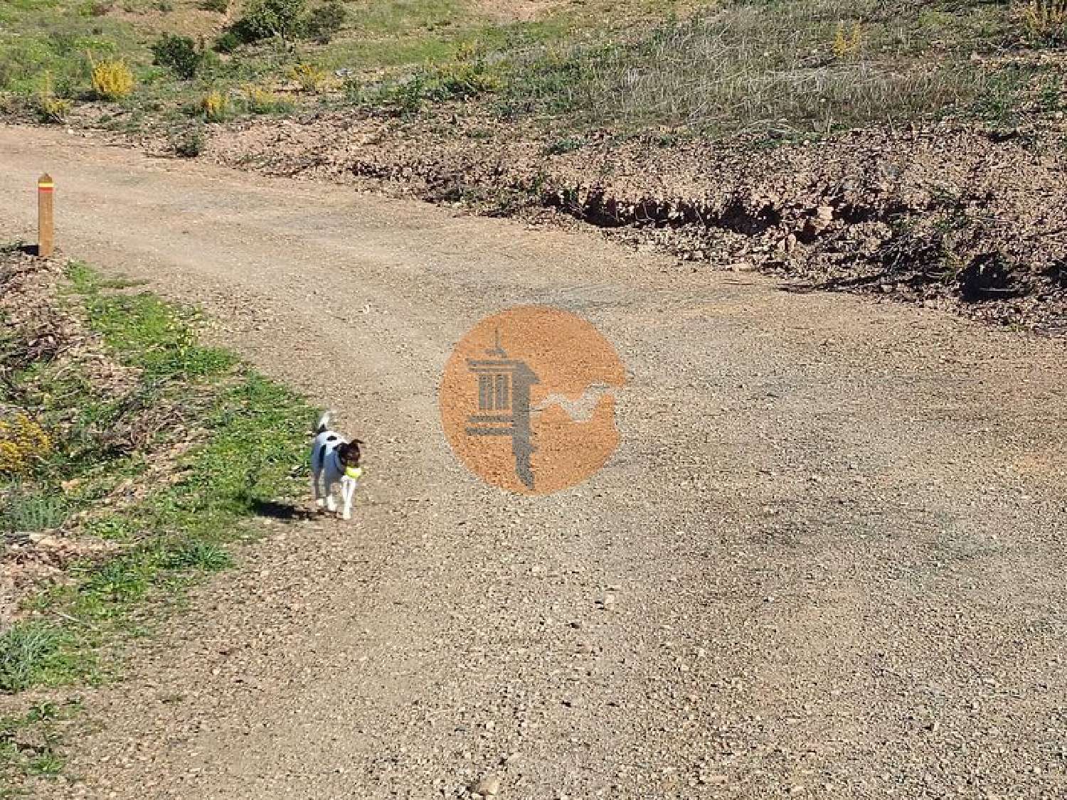  te koop terrein Azinhal Albufeira 8