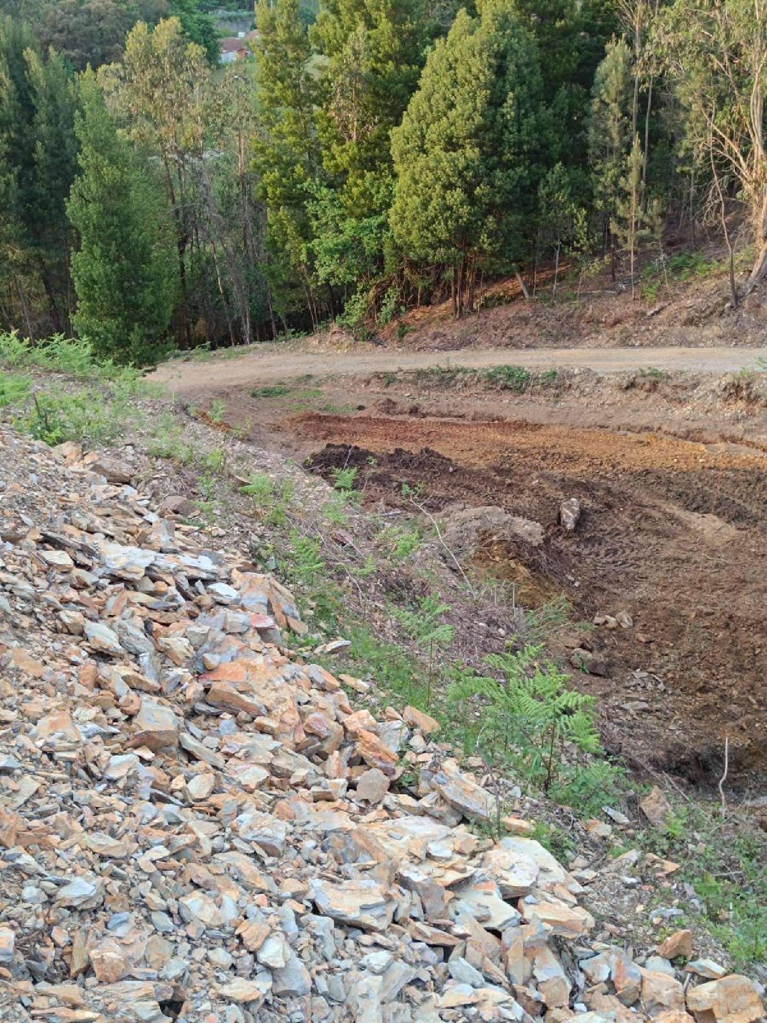 for sale terrain Medas Gondomar 2