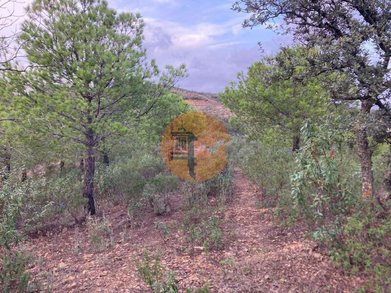  en venta terreno Odeleite Castro Marim 1