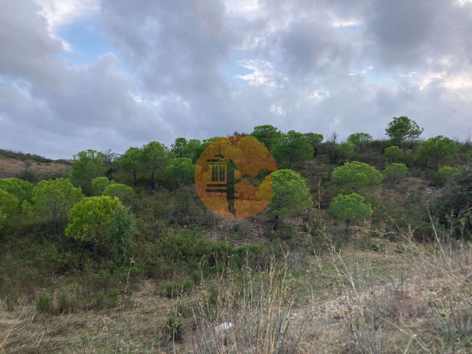  en venta terreno Odeleite Castro Marim 5