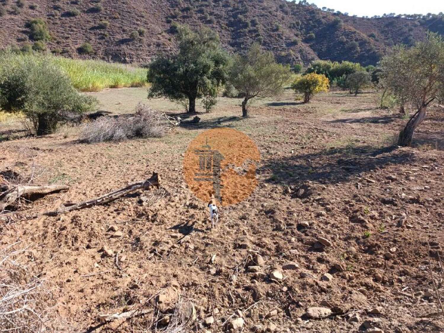  en venta terreno Odeleite Castro Marim 3