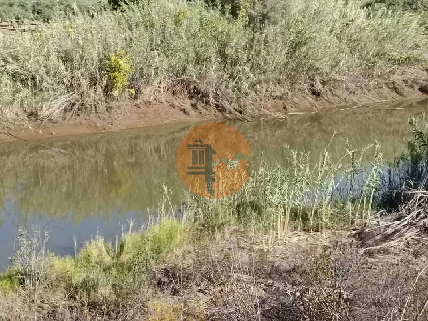  en venta terreno Odeleite Castro Marim 5