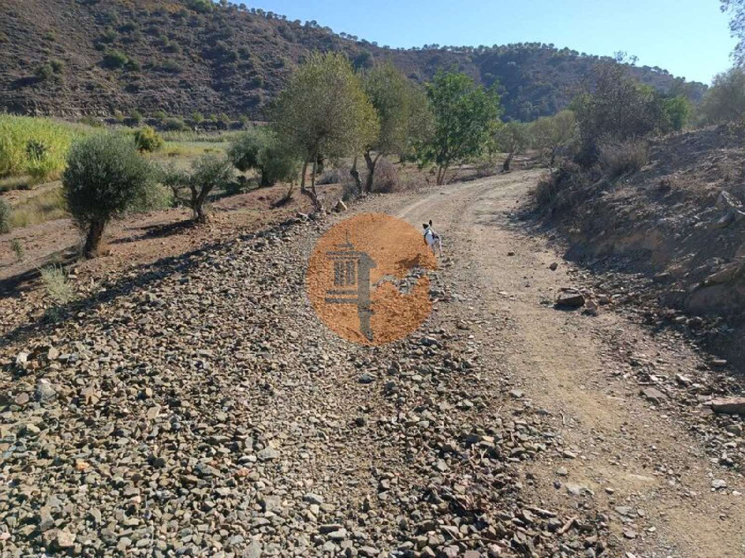  en venta terreno Odeleite Castro Marim 6