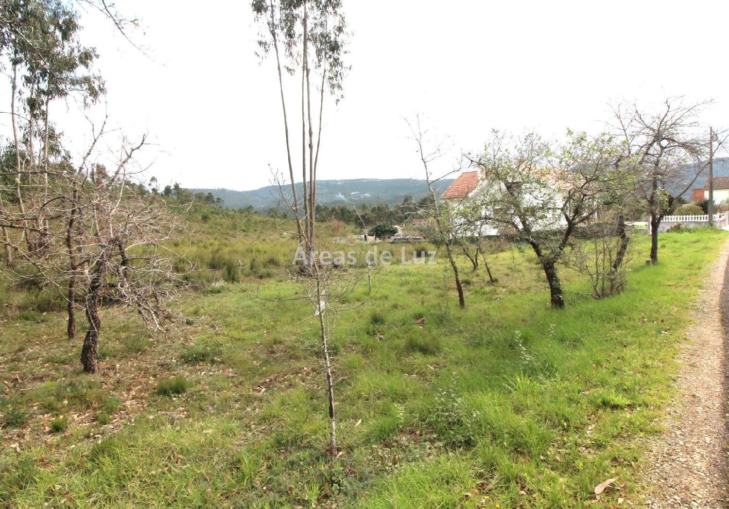 en venta terreno Redinha Pombal 3
