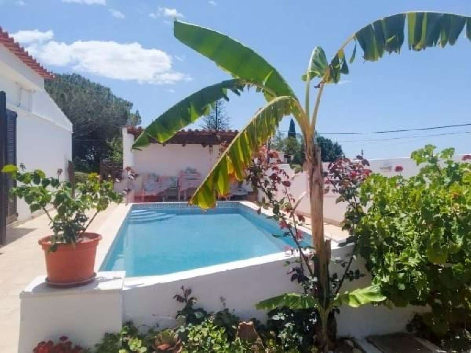  for sale villa Loulé Loulé 8