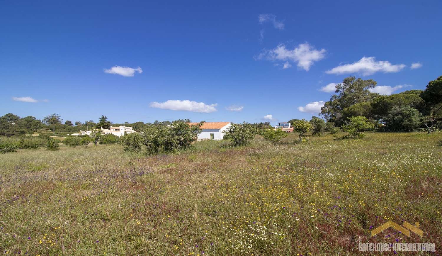 te koop huis Carvoeiro Mação 3