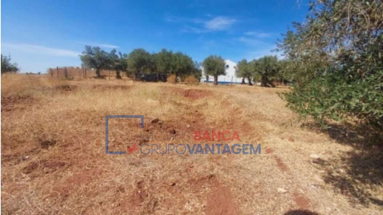 en venta terreno Juromenha Alandroal 2