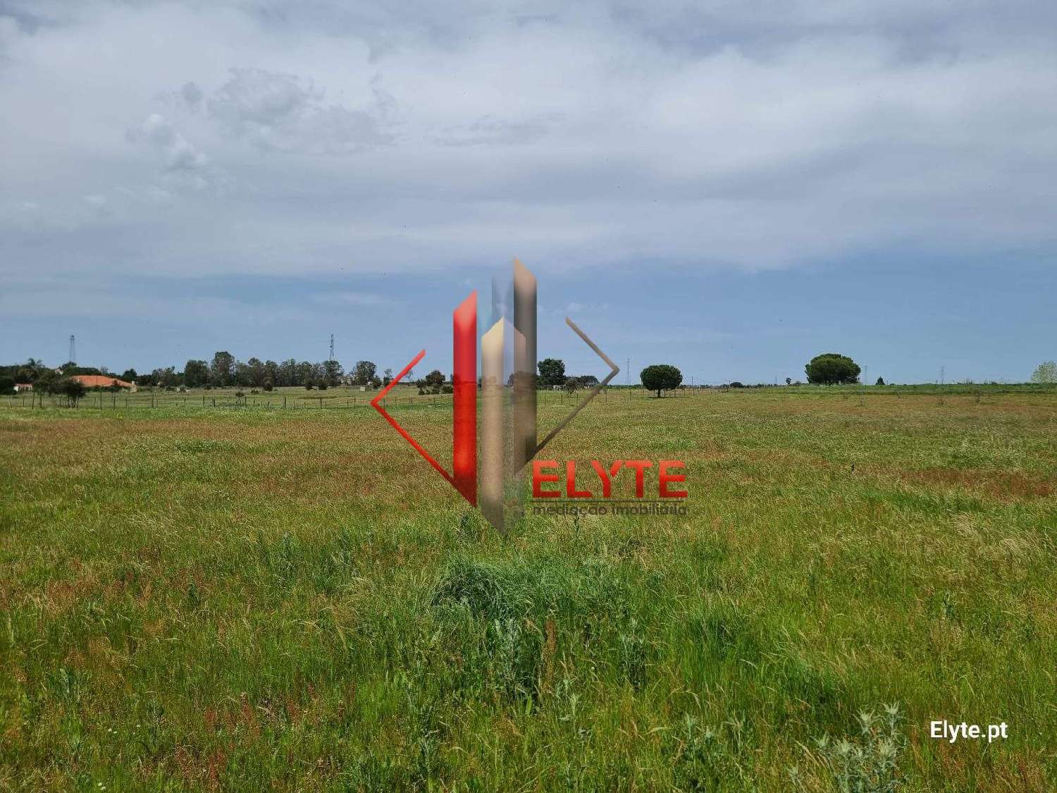  出售 土地 Santo Estevão Benavente 6